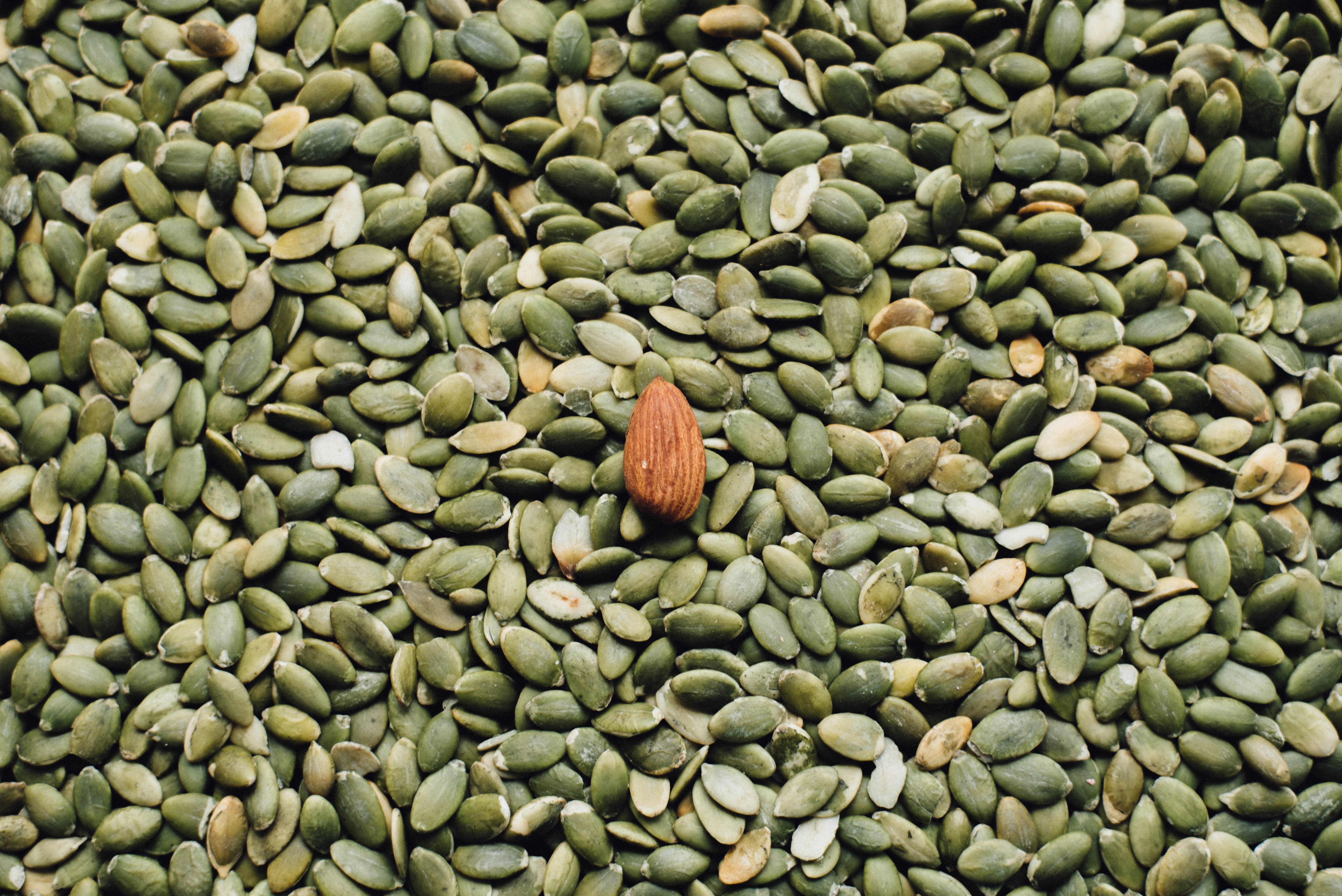 Imagen de semilla de calabaza